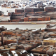 Image for article titled Enormous Scale Models of Cities are Mind-Blowing and Gorgeous